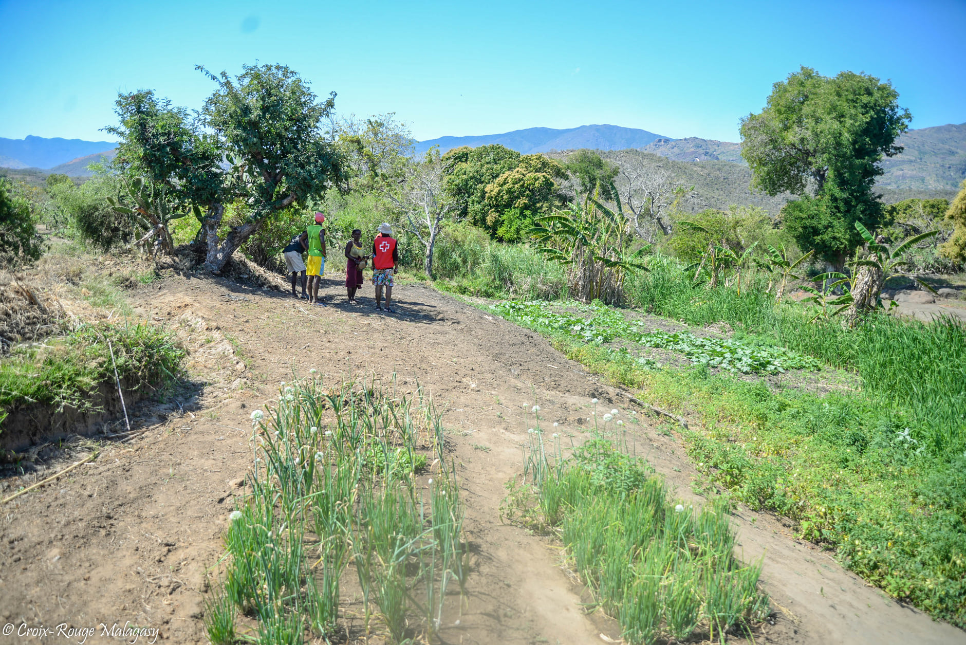 Projet relèvement Sud